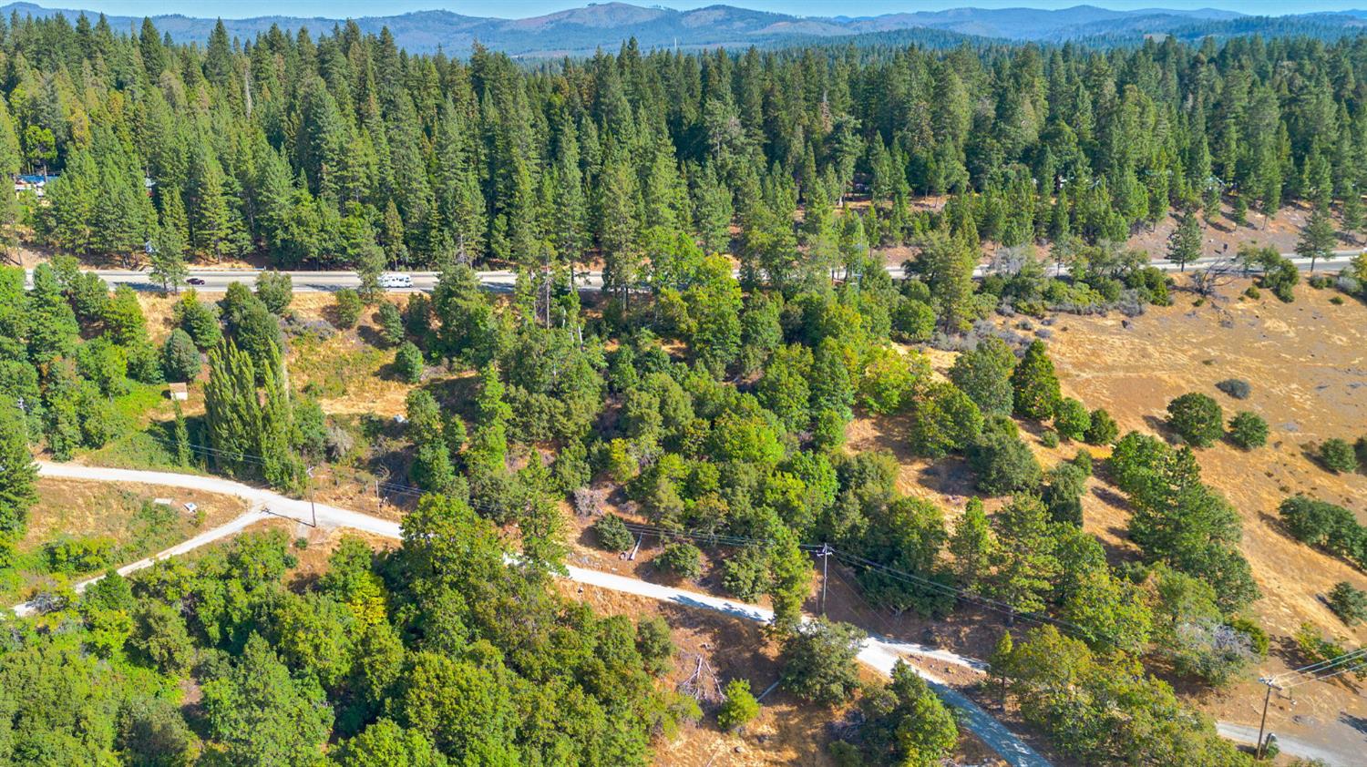 4921 8 Mile Road Camino, CA 95709 - Photo 4 of 35 a view of a yard with plants and large trees