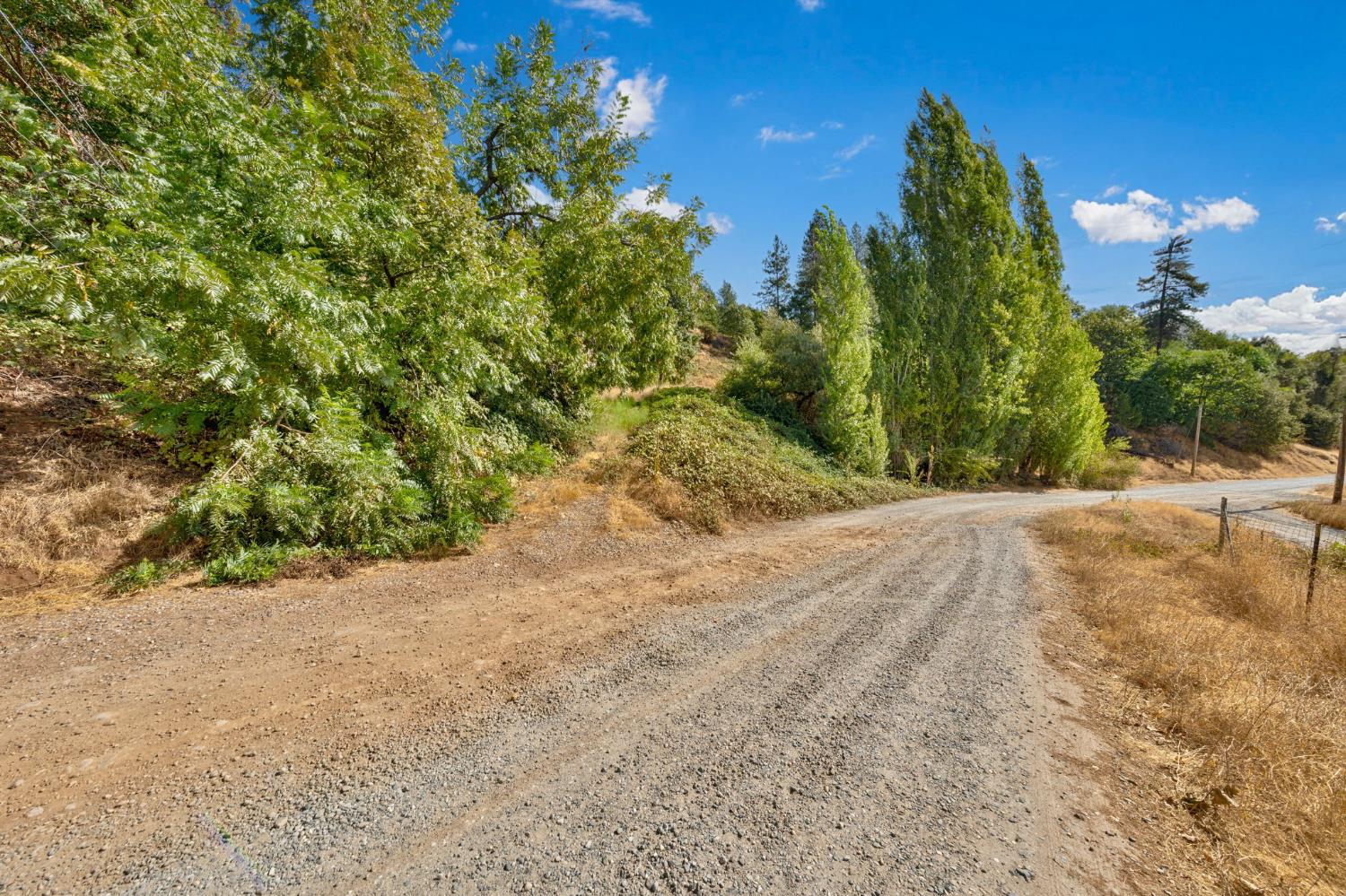 4921 8 Mile Road Camino, CA 95709 - Photo 8 of 35 a view of a yard with a tree