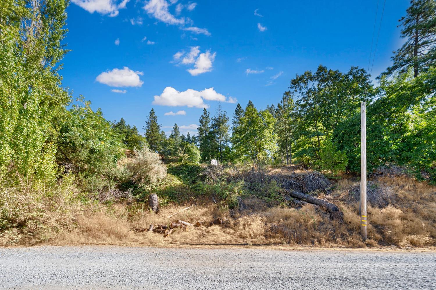 4921 8 Mile Road Camino, CA 95709 - Photo 9 of 35 a view of a flower in a yard