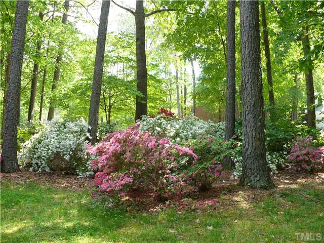 8633 Langtree Lane Raleigh, NC 27613 - Photo 10 of 12 Photo 10