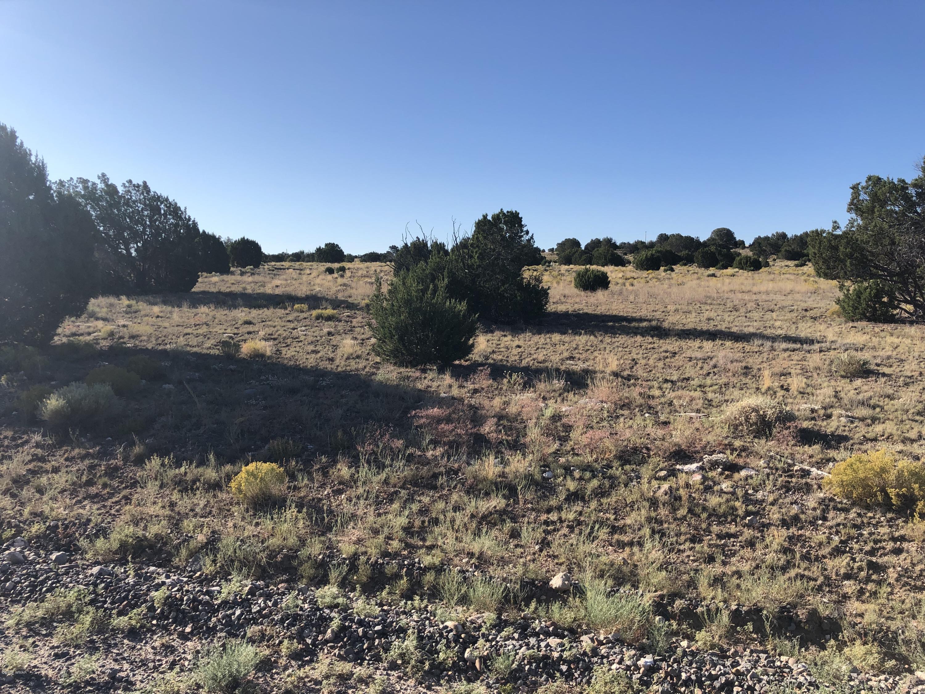 Lot 80 Windsor Valley Ranch Concho, AZ 85924 - Photo 1 of 5