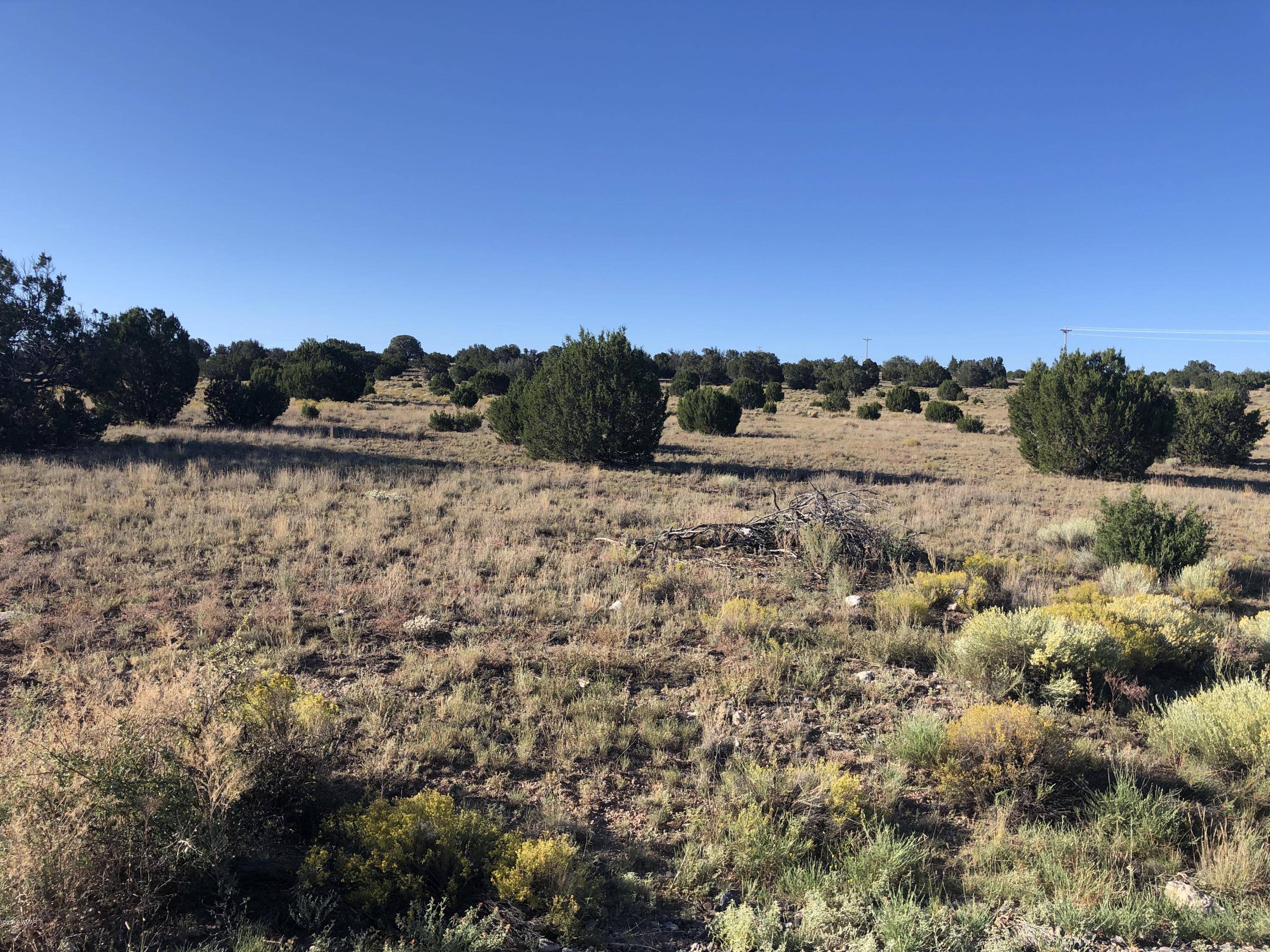 Lot 80 Windsor Valley Ranch Concho, AZ 85924 - Photo 2 of 5