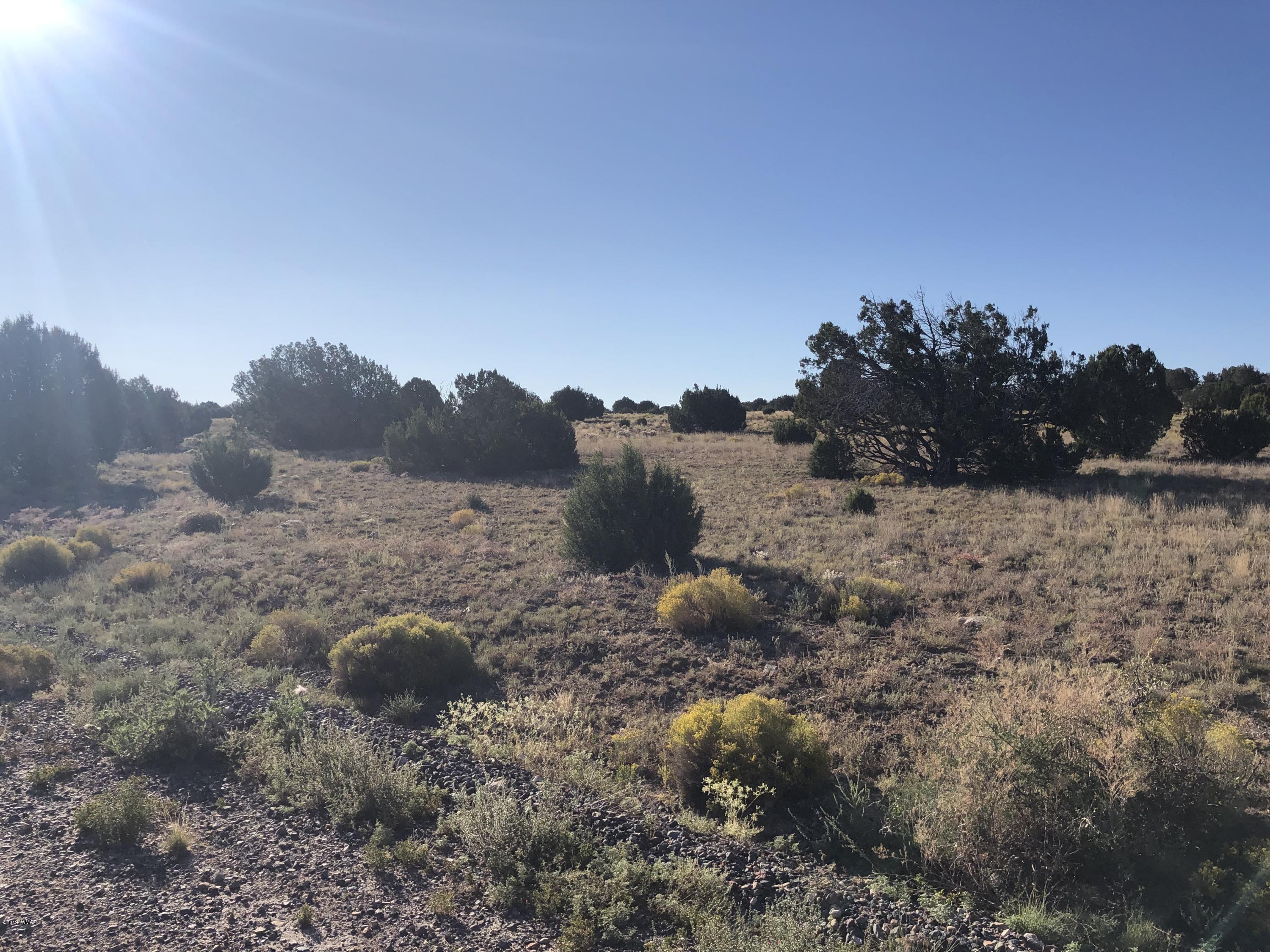 Lot 80 Windsor Valley Ranch Concho, AZ 85924 - Photo 3 of 5