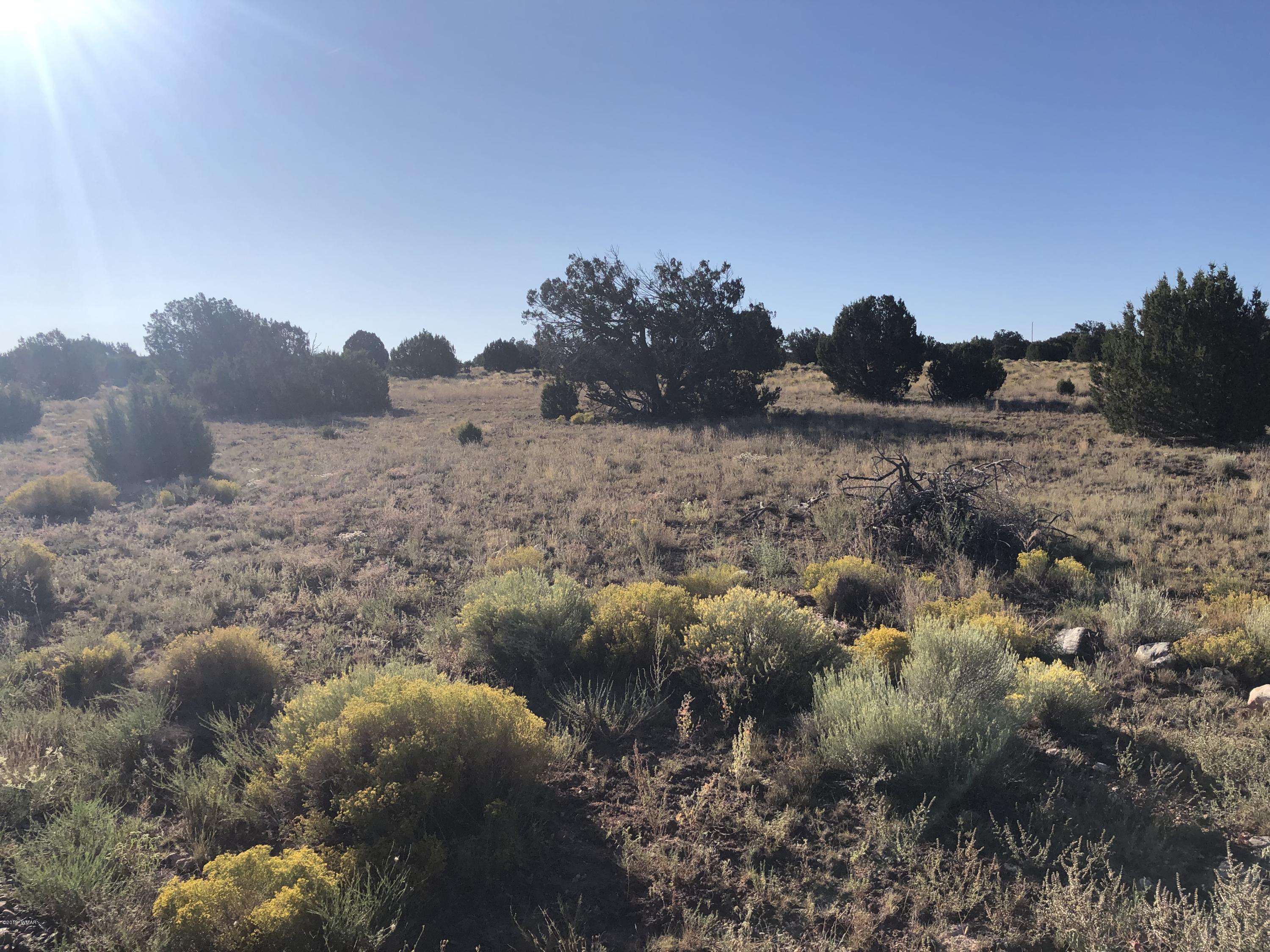 Lot 80 Windsor Valley Ranch Concho, AZ 85924 - Photo 5 of 5