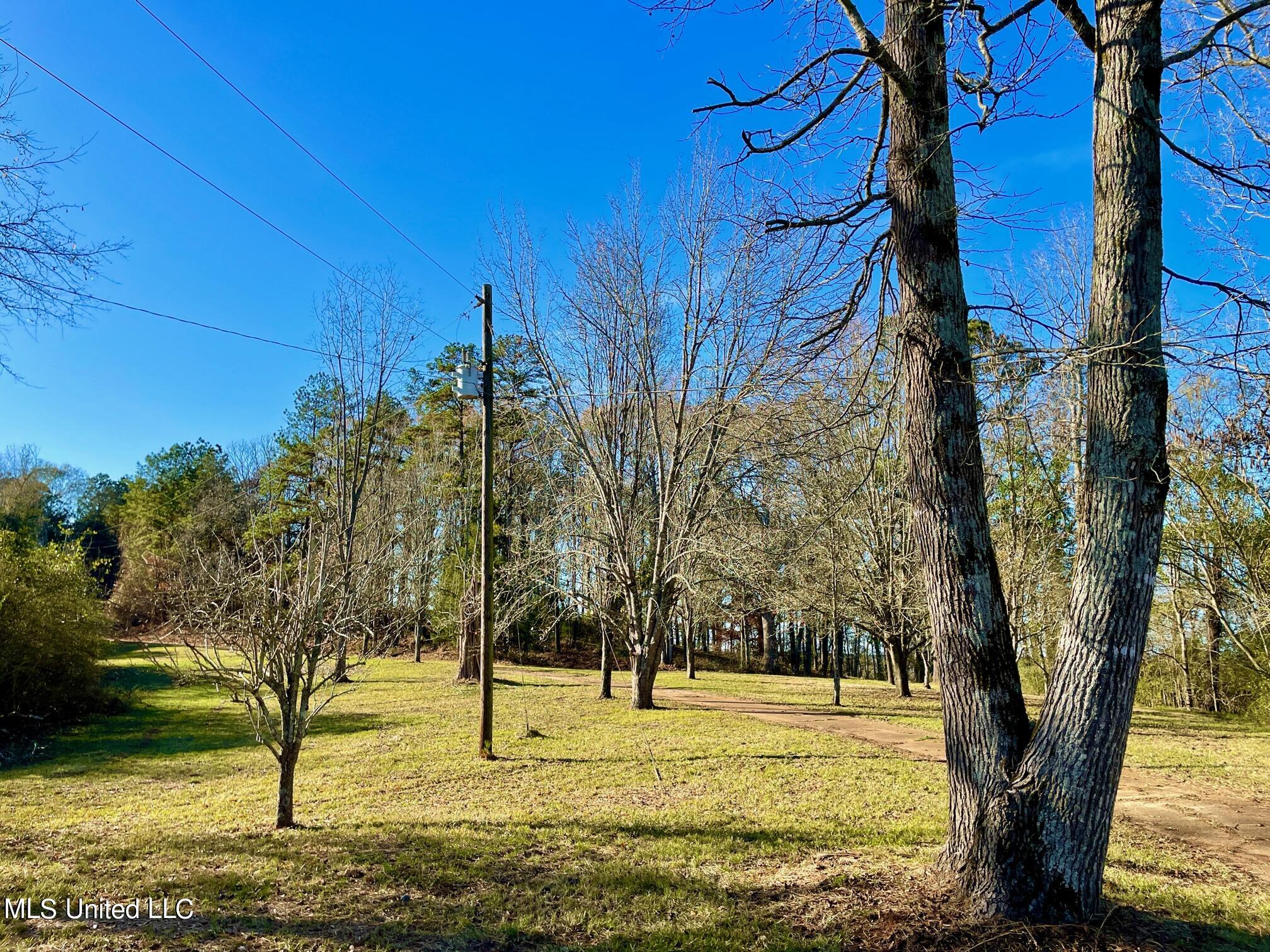 243 Shaw Road Conehatta, MS 39057 - Photo 6 of 34 IMG_2807