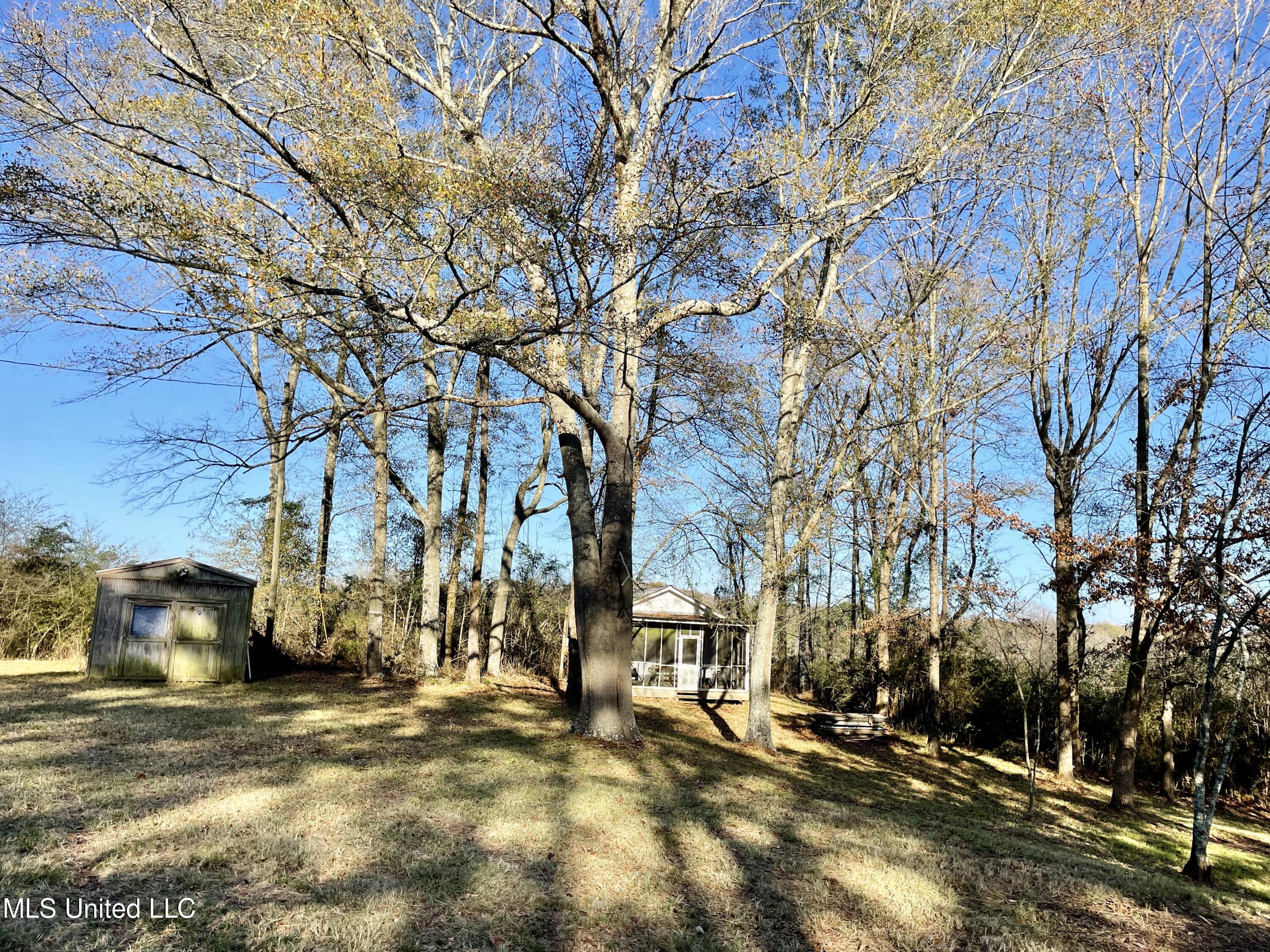 243 Shaw Road Conehatta, MS 39057 - Photo 7 of 34 IMG_2809
