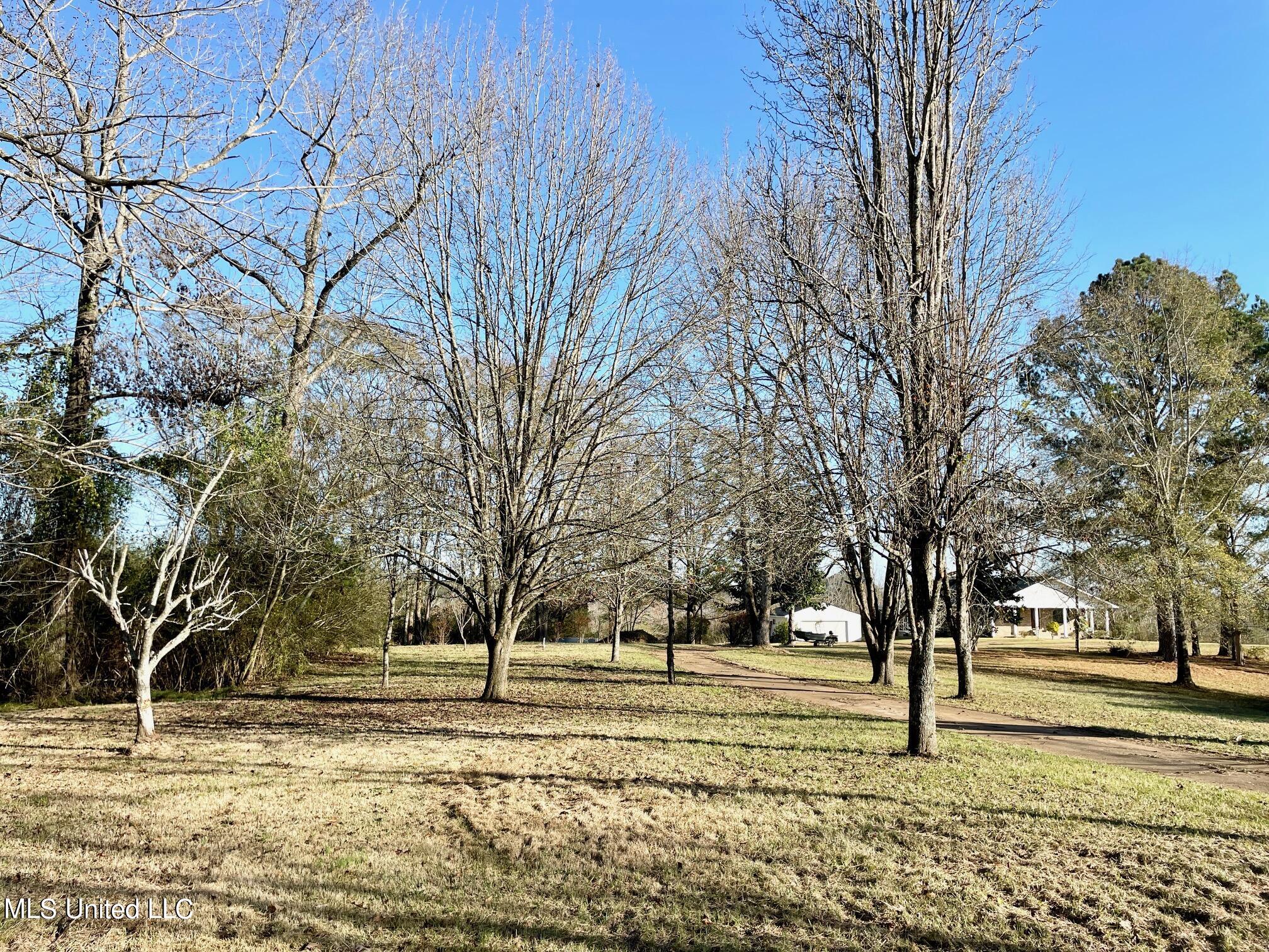 243 Shaw Road Conehatta, MS 39057 - Photo 8 of 34 IMG_2812