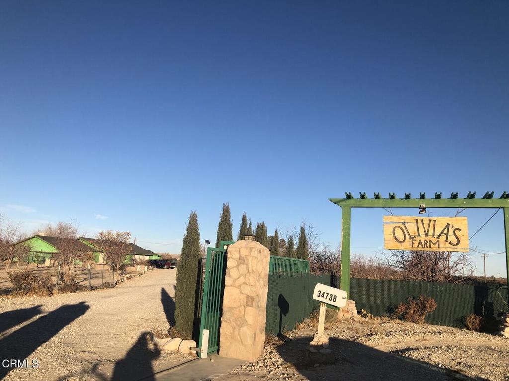 34738 Old Woman Springs Road Lucerne Valley, CA 92356 - Photo 7 of 14 1