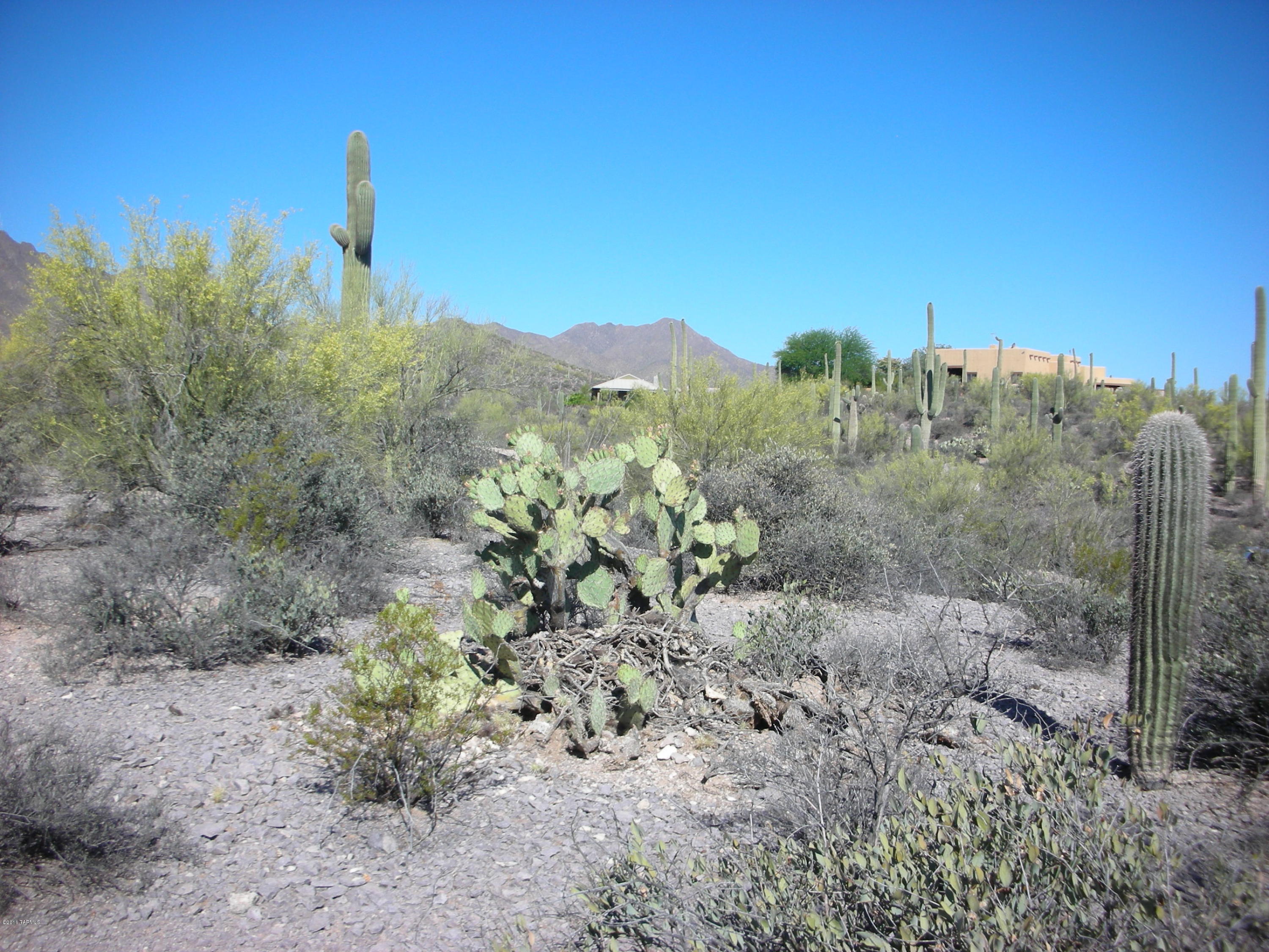 5075 West Rhyolite Loop Tucson, AZ 85745 - Photo 8 of 13 Gallery Image 8