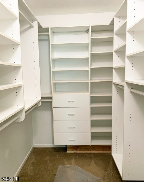 12 Leva Drive, Unit 12 Morristown, NJ 07960 - Photo 12 of 30 a view of walk in closet with empty racks