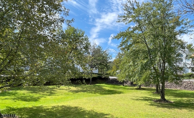 12 Leva Drive, Unit 12 Morristown, NJ 07960 - Photo 15 of 30 a view of a yard with a tree