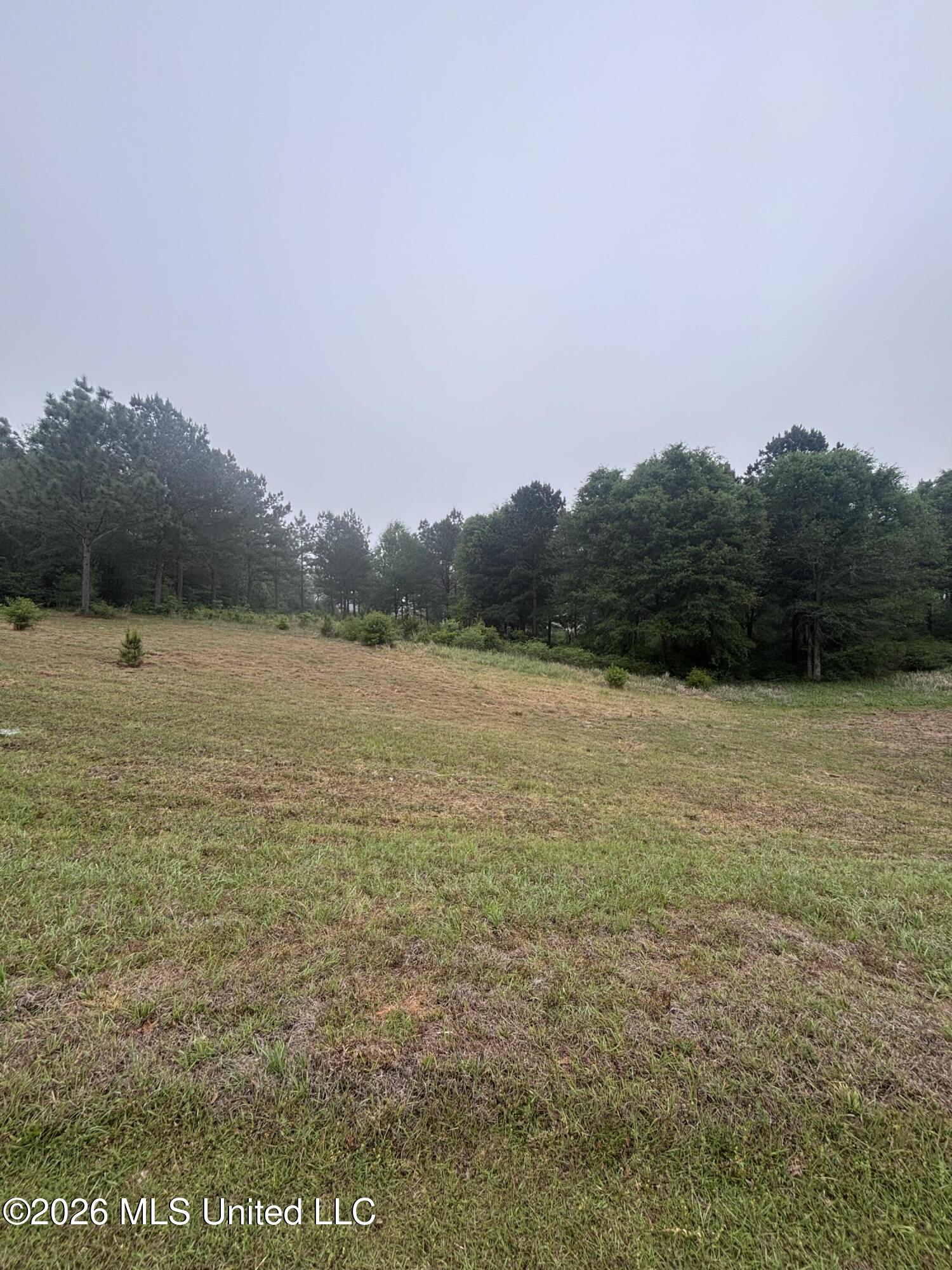 0 West Cir Road Ellisville, MS 39437 - Photo 3 of 13 Photo Apr 16 2026, 8 44 48 AM