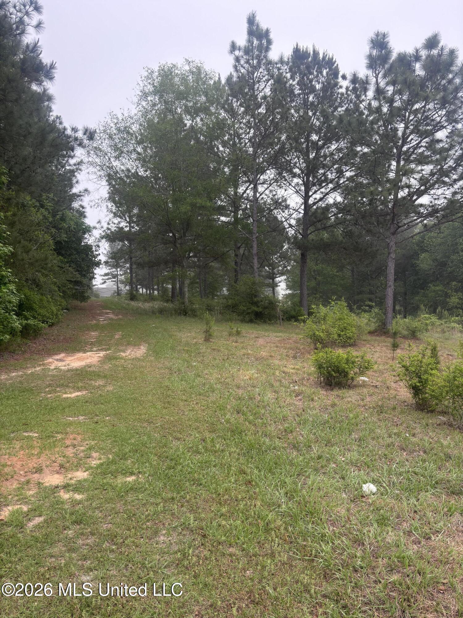 0 West Cir Road Ellisville, MS 39437 - Photo 5 of 13 Photo Apr 16 2026, 8 45 46 AM