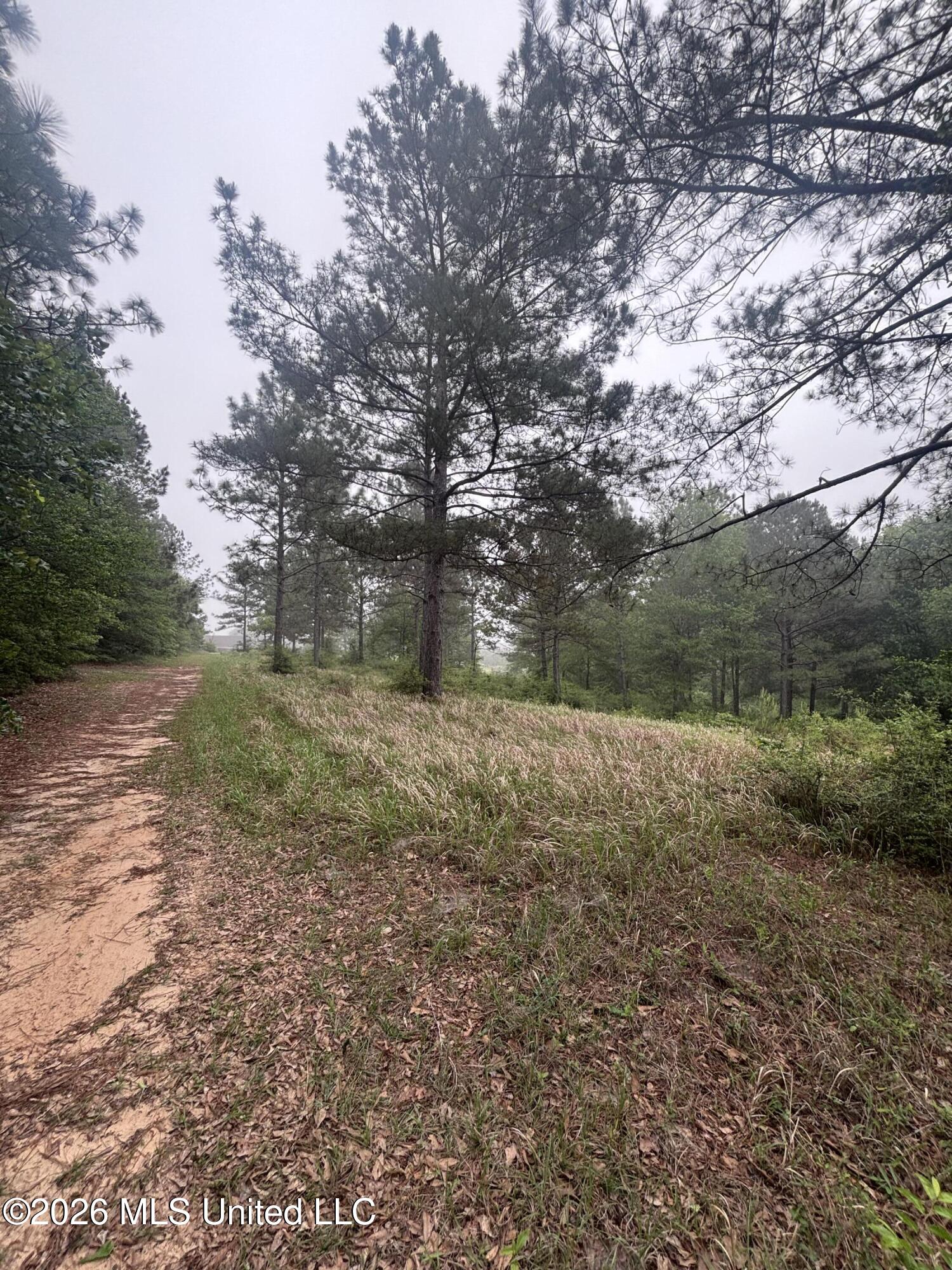 0 West Cir Road Ellisville, MS 39437 - Photo 6 of 13 Photo Apr 16 2026, 8 46 33 AM