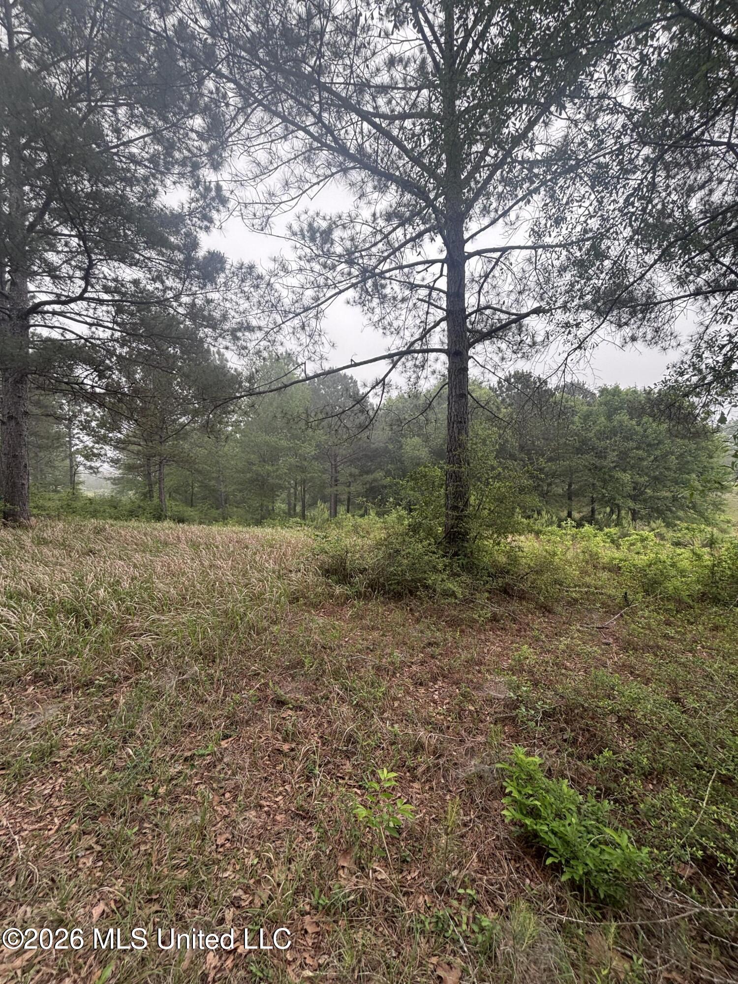 0 West Cir Road Ellisville, MS 39437 - Photo 7 of 13 Photo Apr 16 2026, 8 46 35 AM