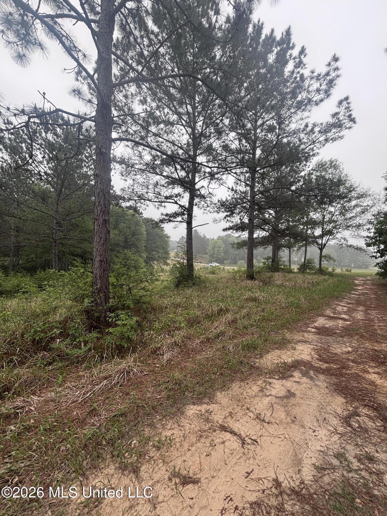 0 West Cir Road Ellisville, MS 39437 - Photo 8 of 13 Photo Apr 16 2026, 8 47 10 AM