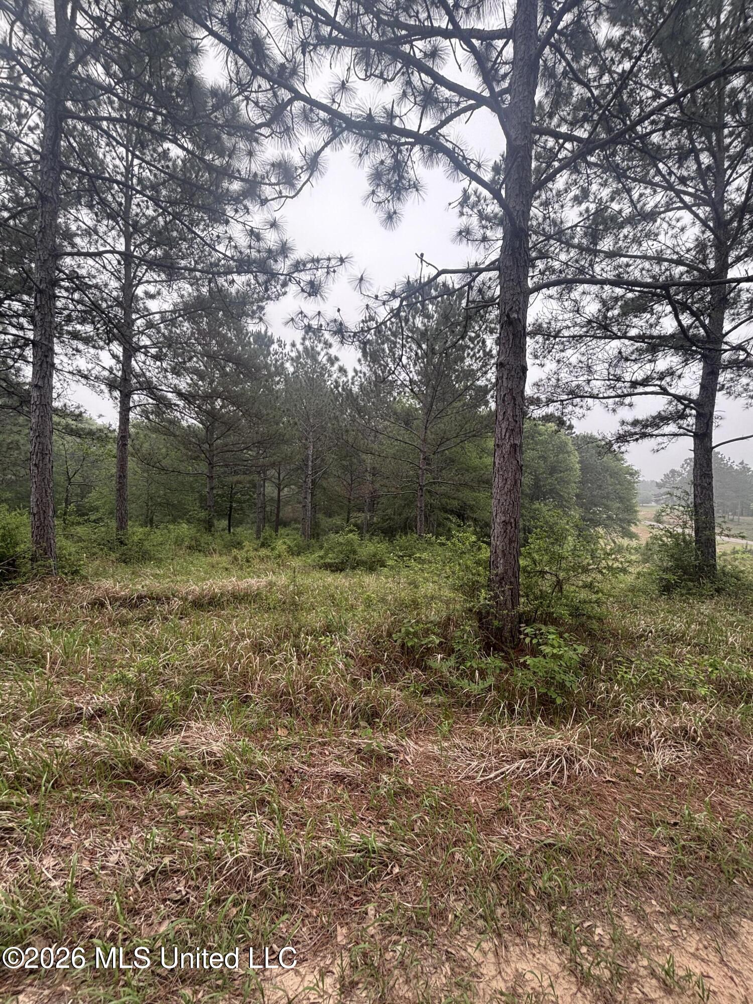 0 West Cir Road Ellisville, MS 39437 - Photo 9 of 13 Photo Apr 16 2026, 8 47 15 AM