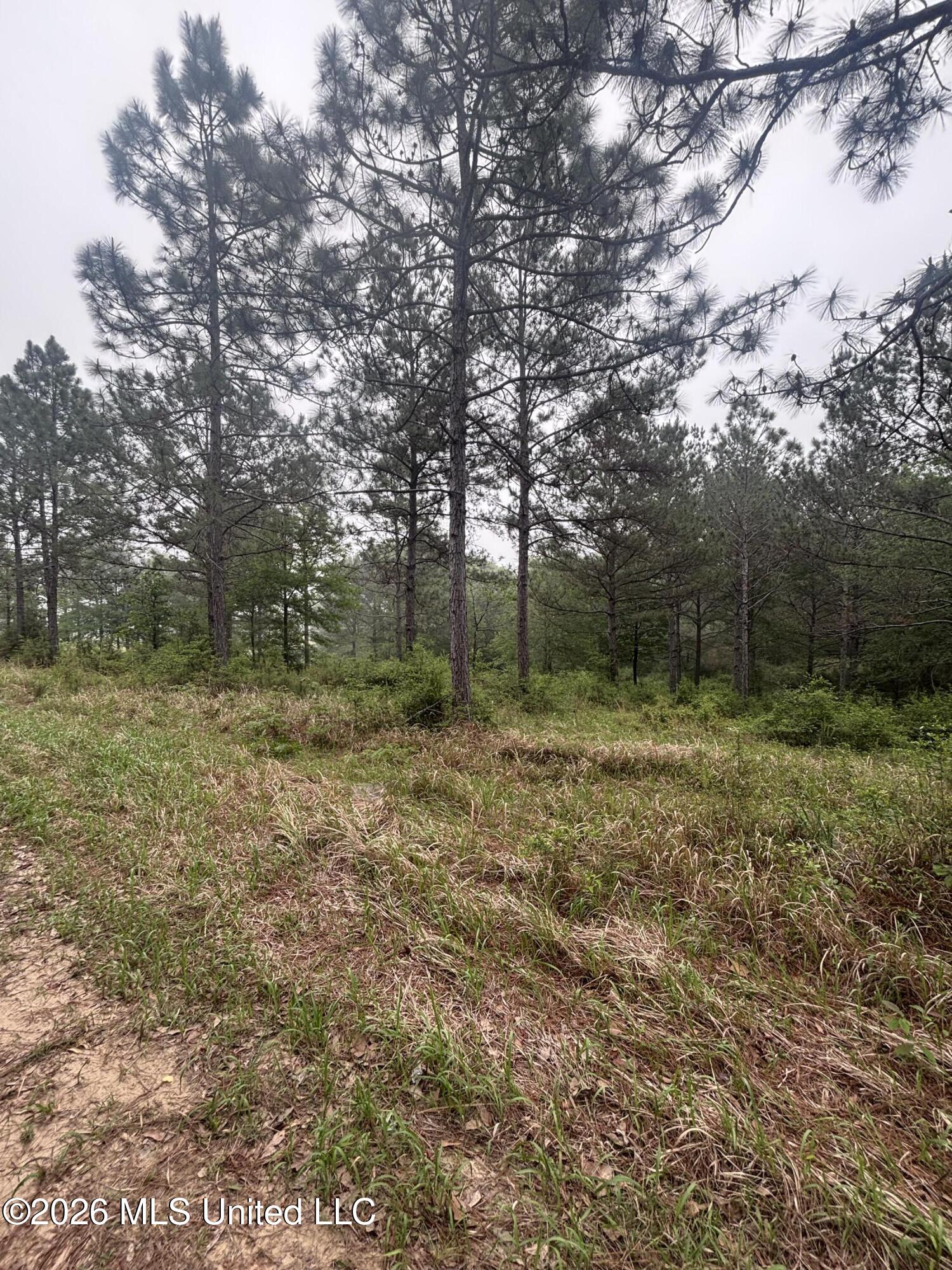 0 West Cir Road Ellisville, MS 39437 - Photo 10 of 13 Photo Apr 16 2026, 8 47 17 AM