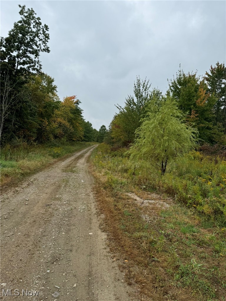 V/l Nichols Road Windham, OH 44288 - Photo 1 of 15 Driveway