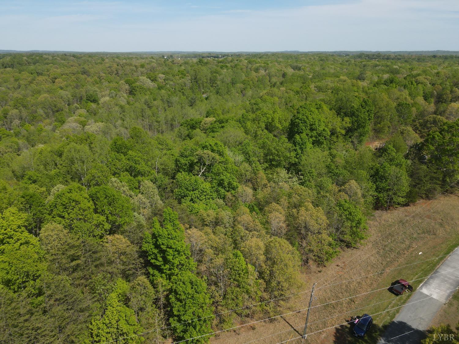 0 Ruth Drive Madison Heights, VA 24572 - Photo 2 of 6