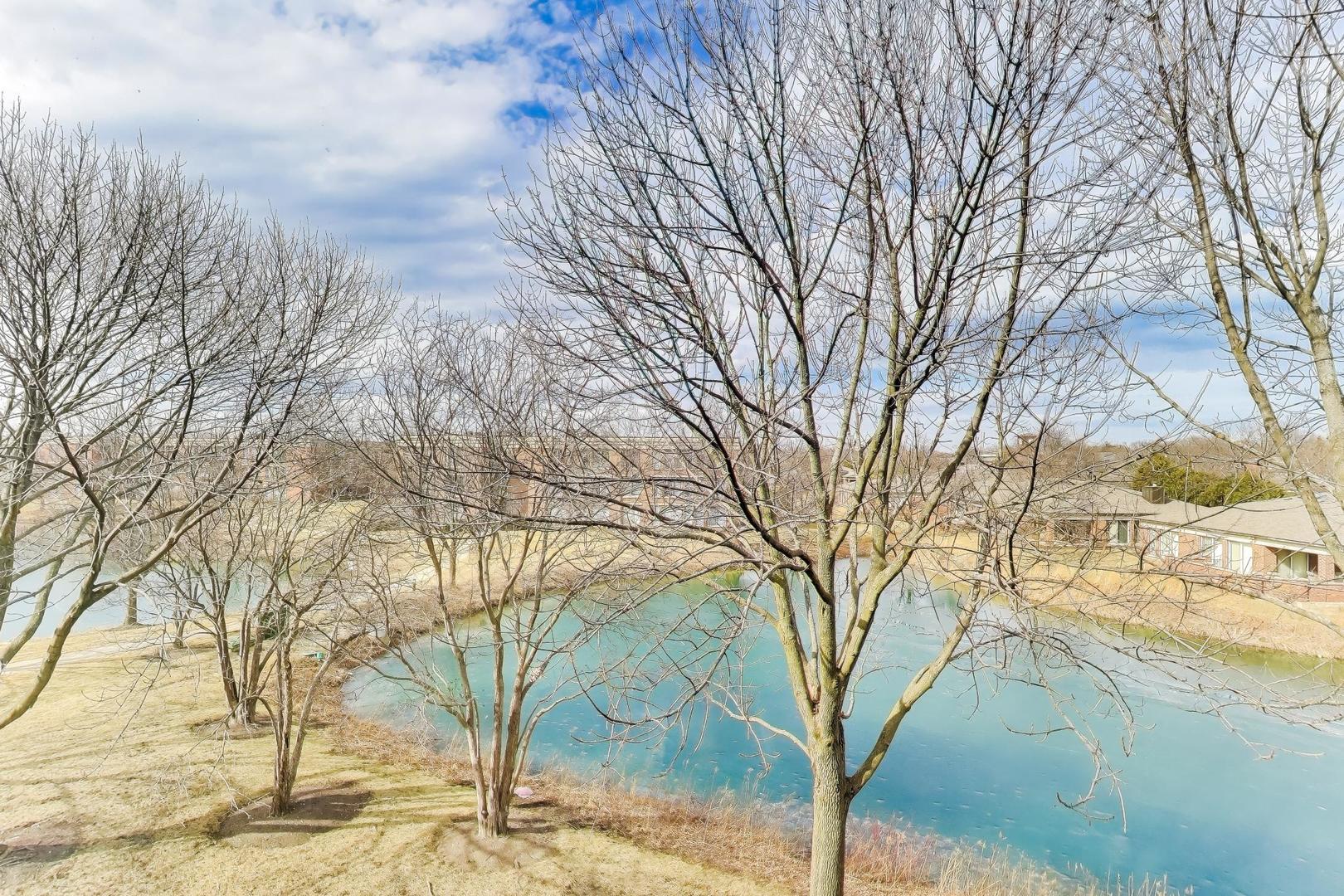 352 Kelburn Road, Unit 323 Deerfield, IL 60015 - Photo 23 of 28