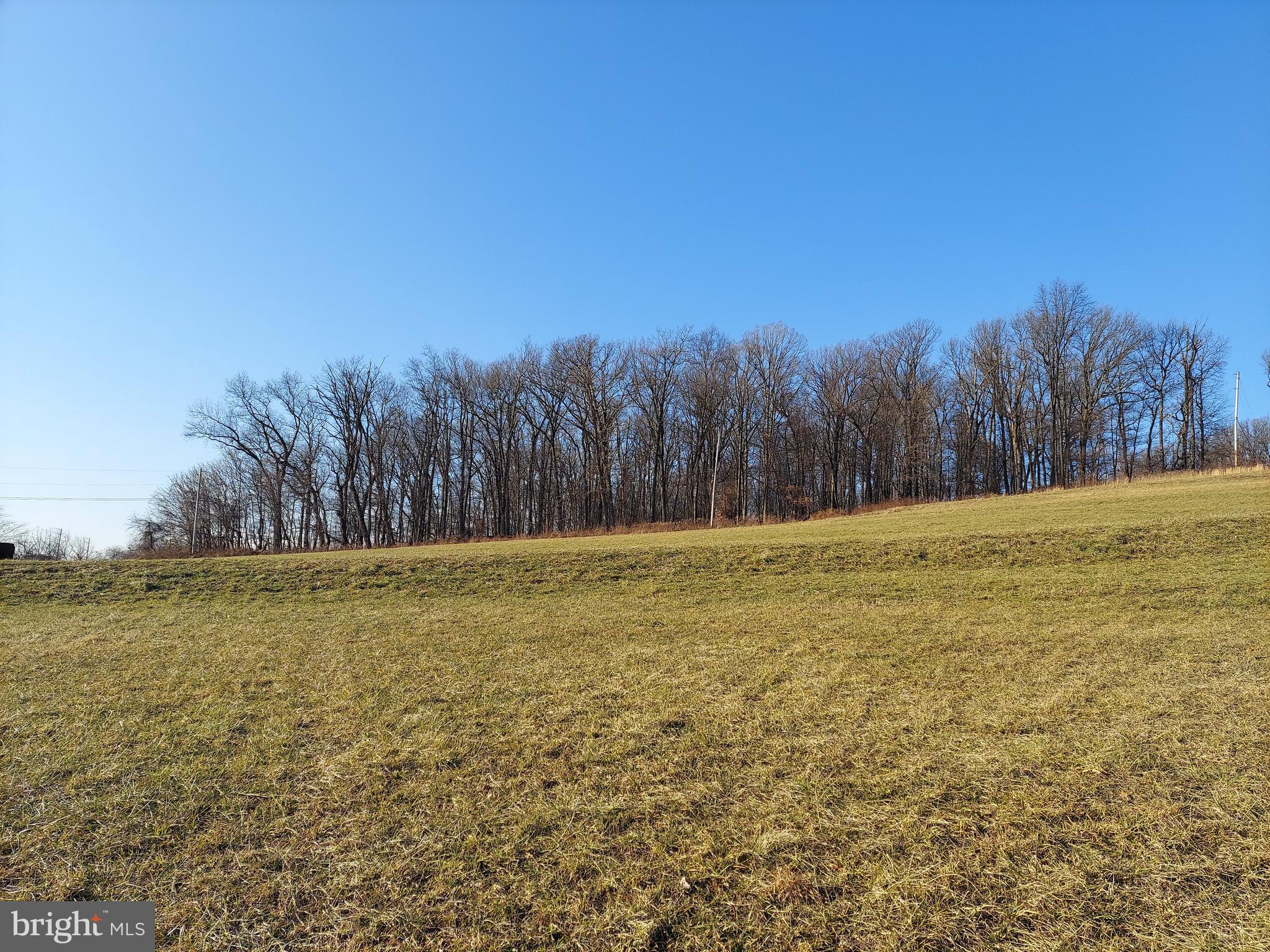 615 Pleasant Grove Road, Unit 10 Red Lion, PA 17356 - Photo 4 of 7 a view of yard with trees