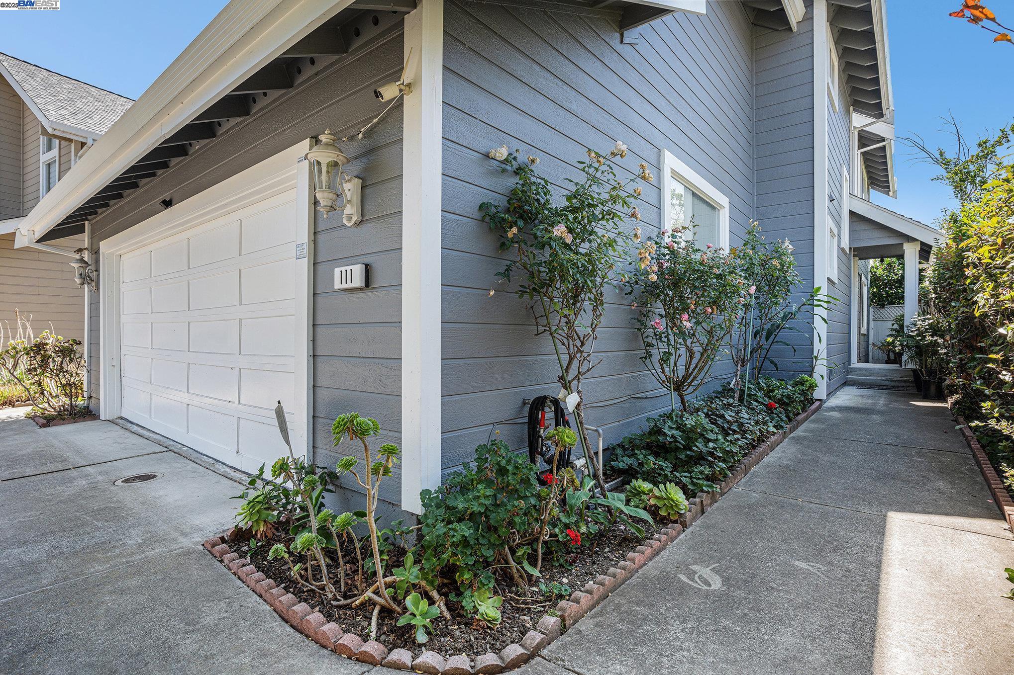 111 Overacker Terrace Fremont, CA 94536 - Photo 4 of 33 a view of a backyard with potted plants