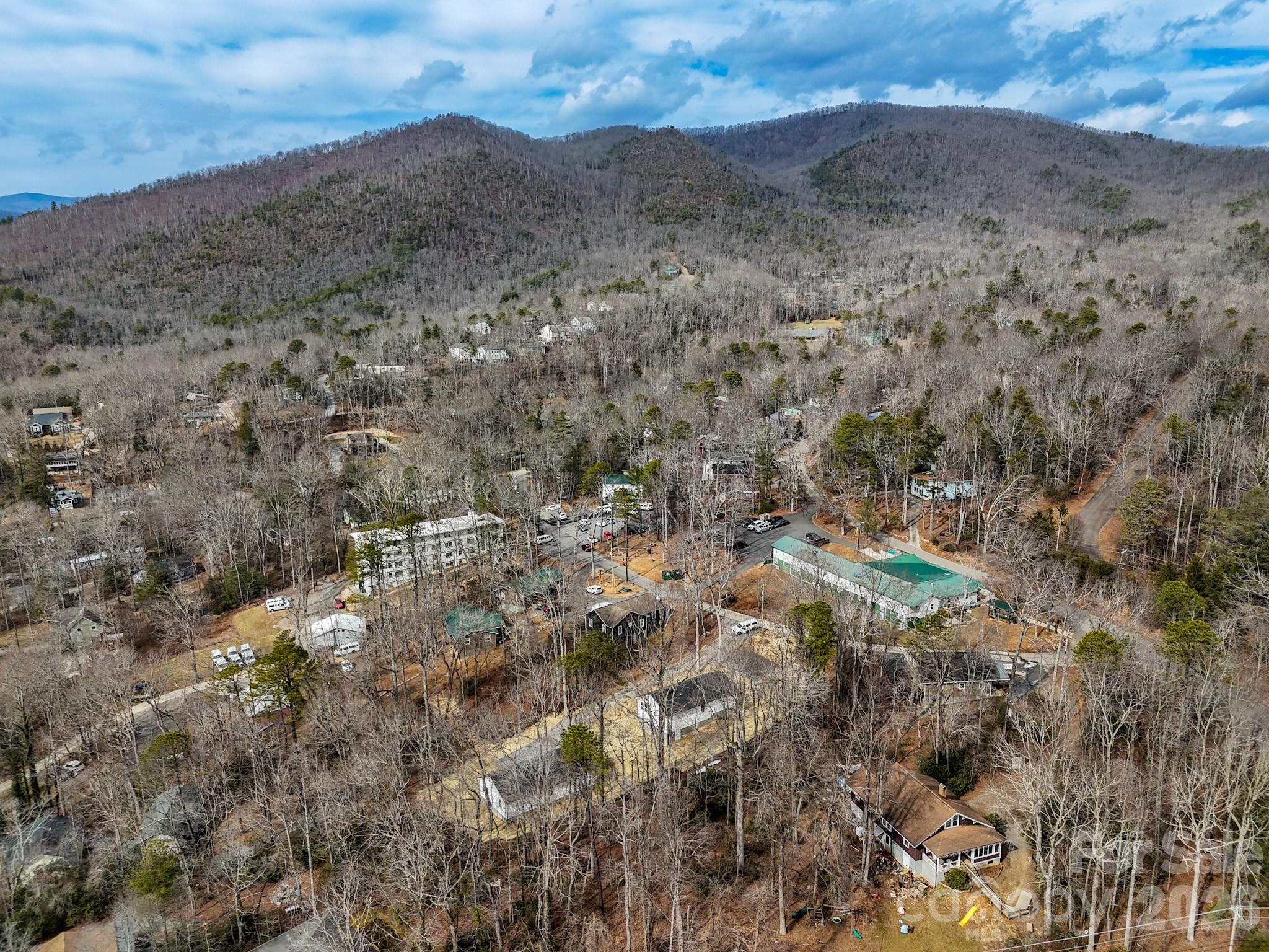 14 Knox Road Black Mountain, NC 28711 - Photo 8 of 44