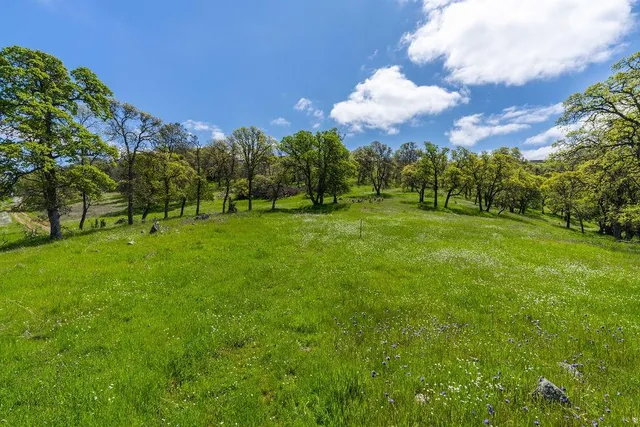 a view of a green field