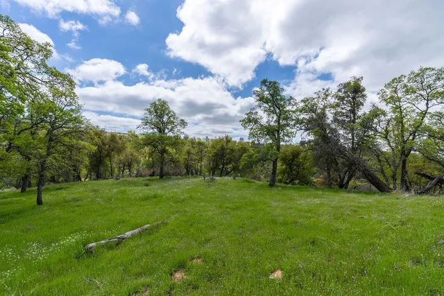 a view of a grassy field with trees in the background