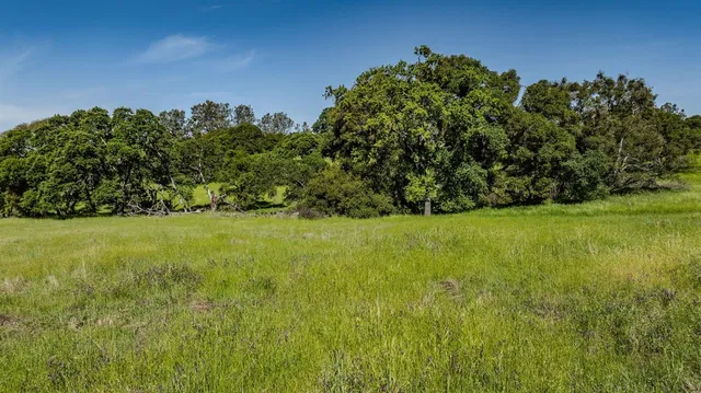 a view of yard with green space