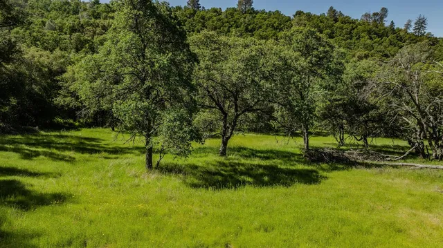 a backyard of a house with lots of green space