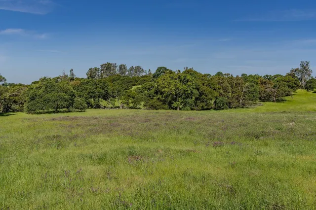 a view of a yard with a house