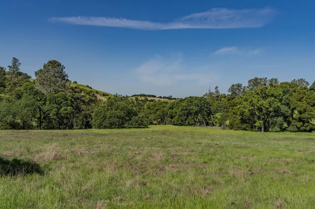 a view of a field with trees in background