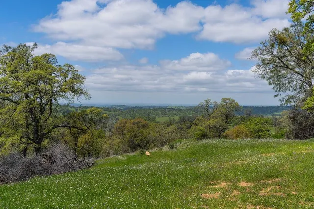 a view of a green field with lots of bushes