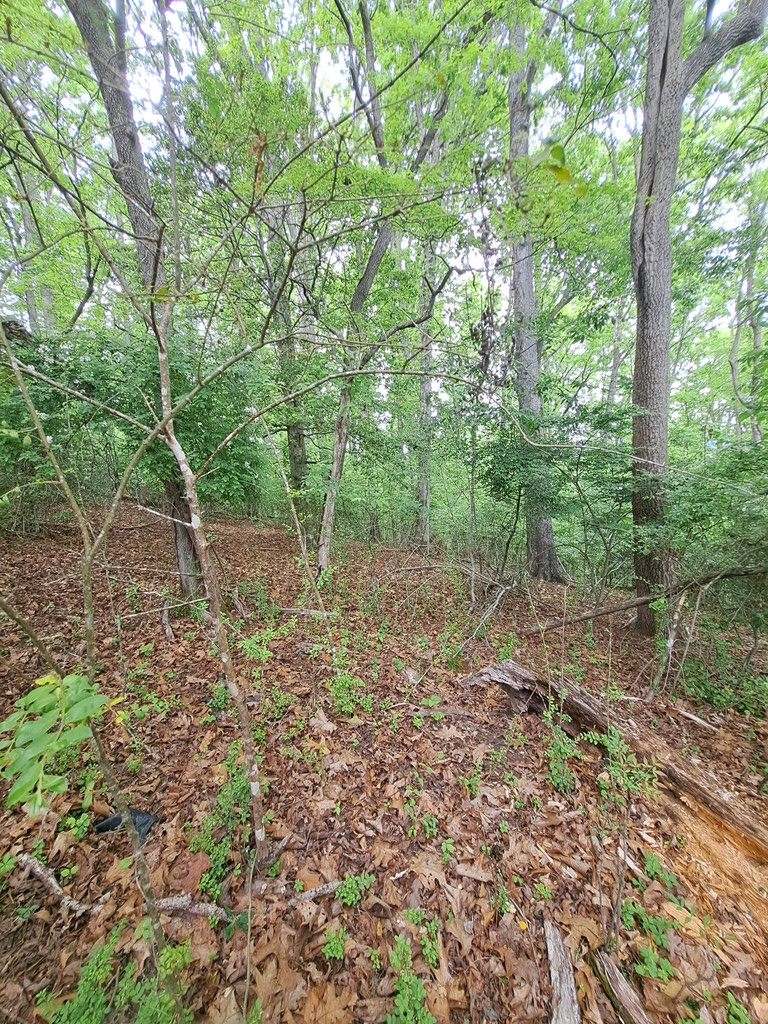 Lot 9 Murray Hill Road Hayesville, NC 28904 - Photo 2 of 6