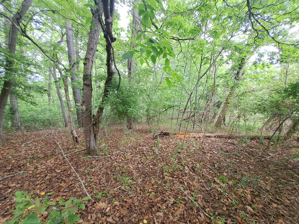 Lot 9 Murray Hill Road Hayesville, NC 28904 - Photo 3 of 6