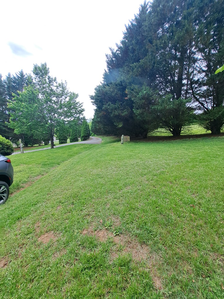 Lot 9 Murray Hill Road Hayesville, NC 28904 - Photo 4 of 6 Access from road