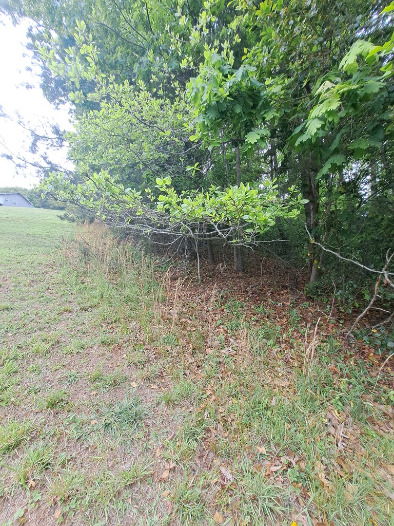 Lot 9 Murray Hill Road Hayesville, NC 28904 - Photo 5 of 6
