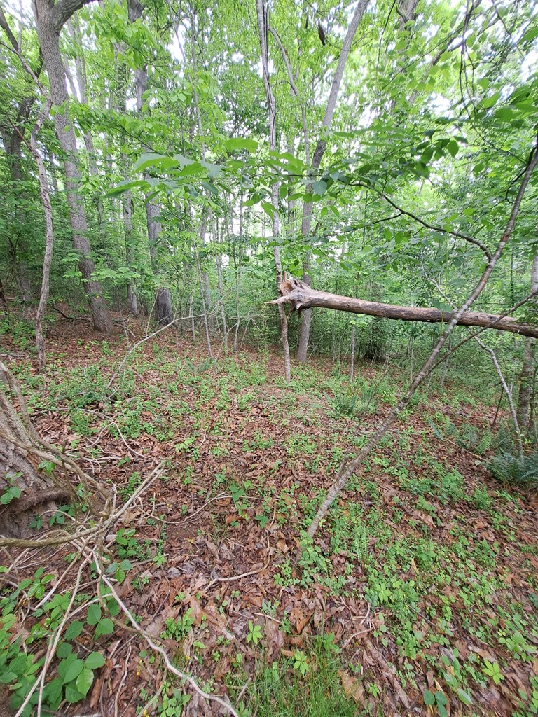 Lot 9 Murray Hill Road Hayesville, NC 28904 - Photo 6 of 6