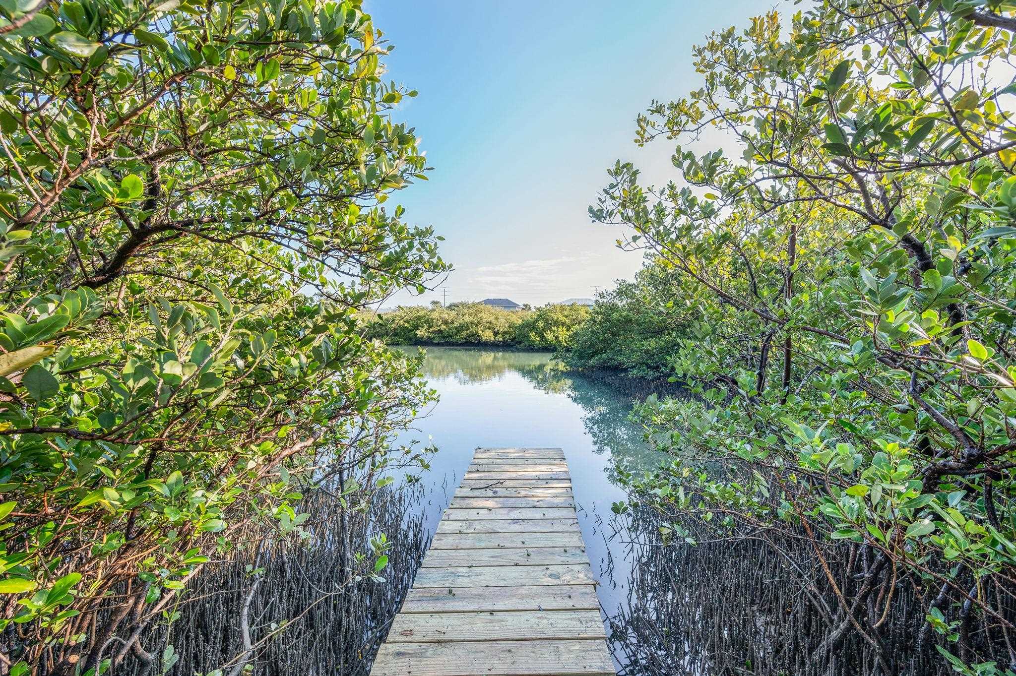 8950 Gene Johnson Road St. Augustine, FL 32080 - Photo 4 of 31 a view of a pathway both side of building