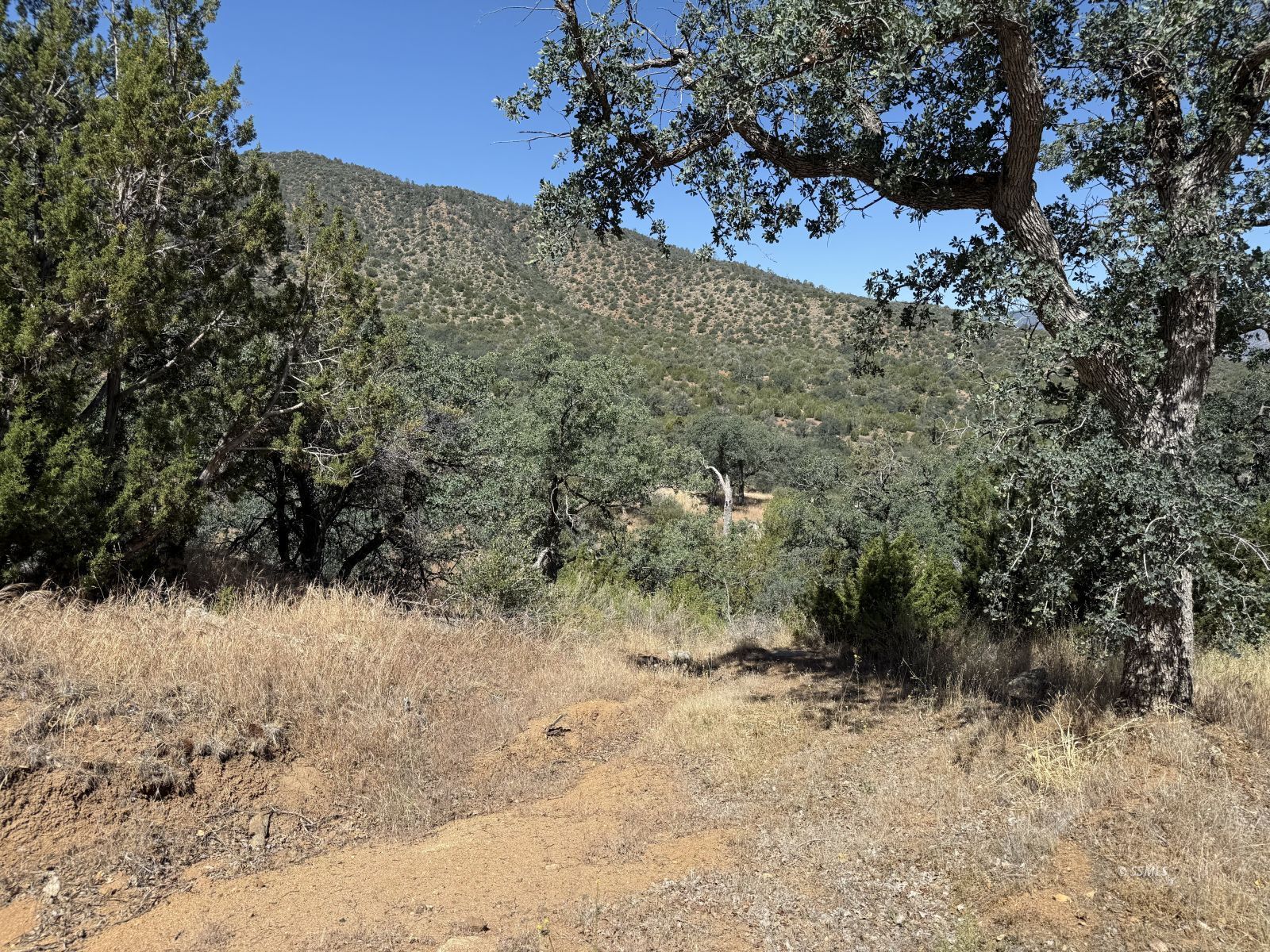 South Alpine Street Bodfish, CA 93205 - Photo 4 of 6