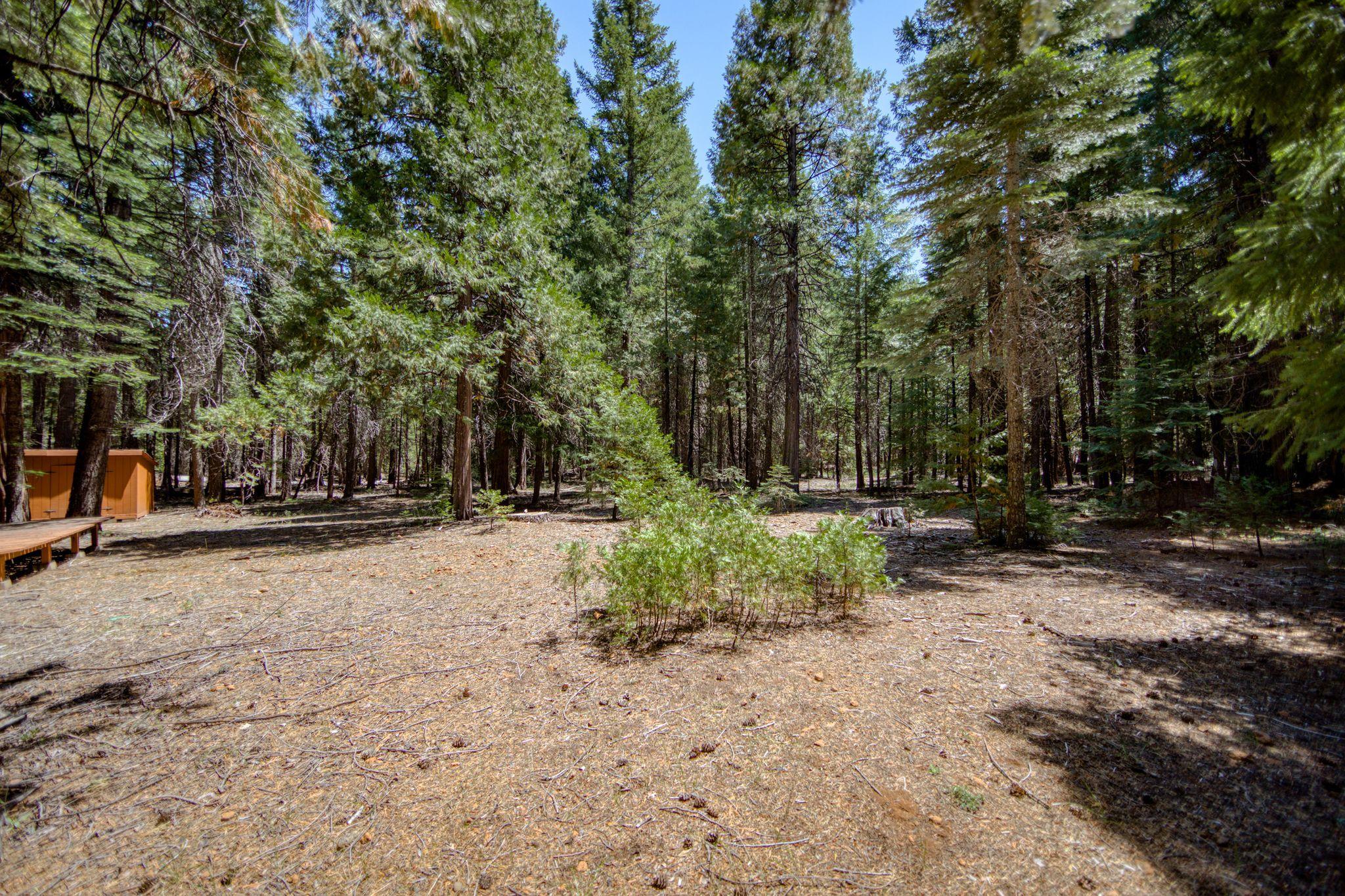 34661 Timber Ridge Road Shingletown, CA 96088 - Photo 24 of 33 HOx7PxyM