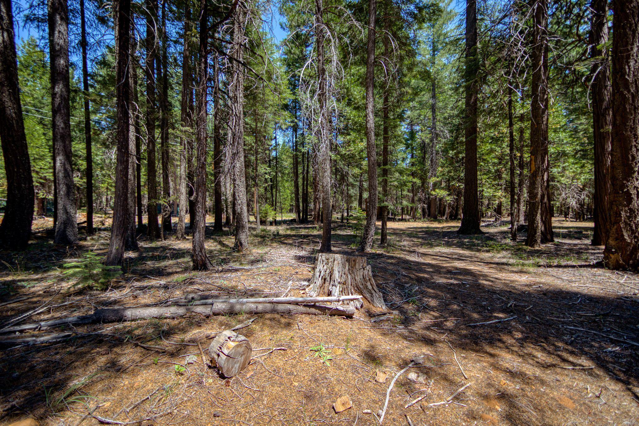 34661 Timber Ridge Road Shingletown, CA 96088 - Photo 28 of 33 rrAfakv8