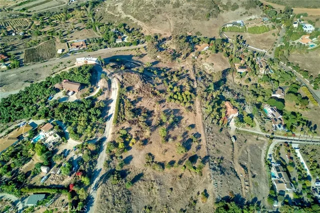 a view of a garden with a tree