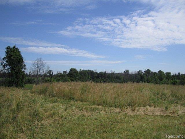 5445 37 Mile Road Romeo, MI 48065 - Photo 8 of 23 5445 37 Mile Road - Vacant Land0
