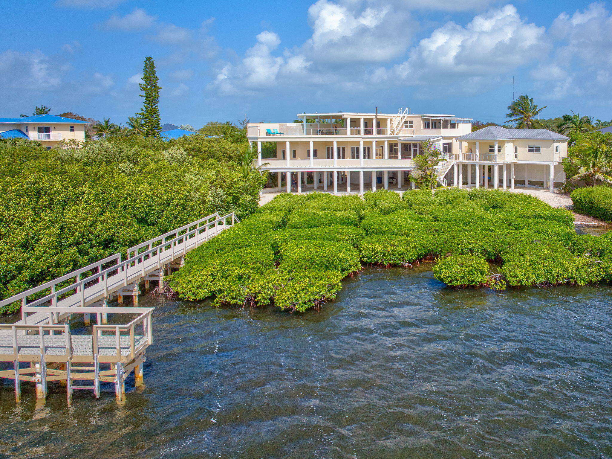 225 Colson Drive Cudjoe, FL 33042 - Photo 60 of 71 Aerial