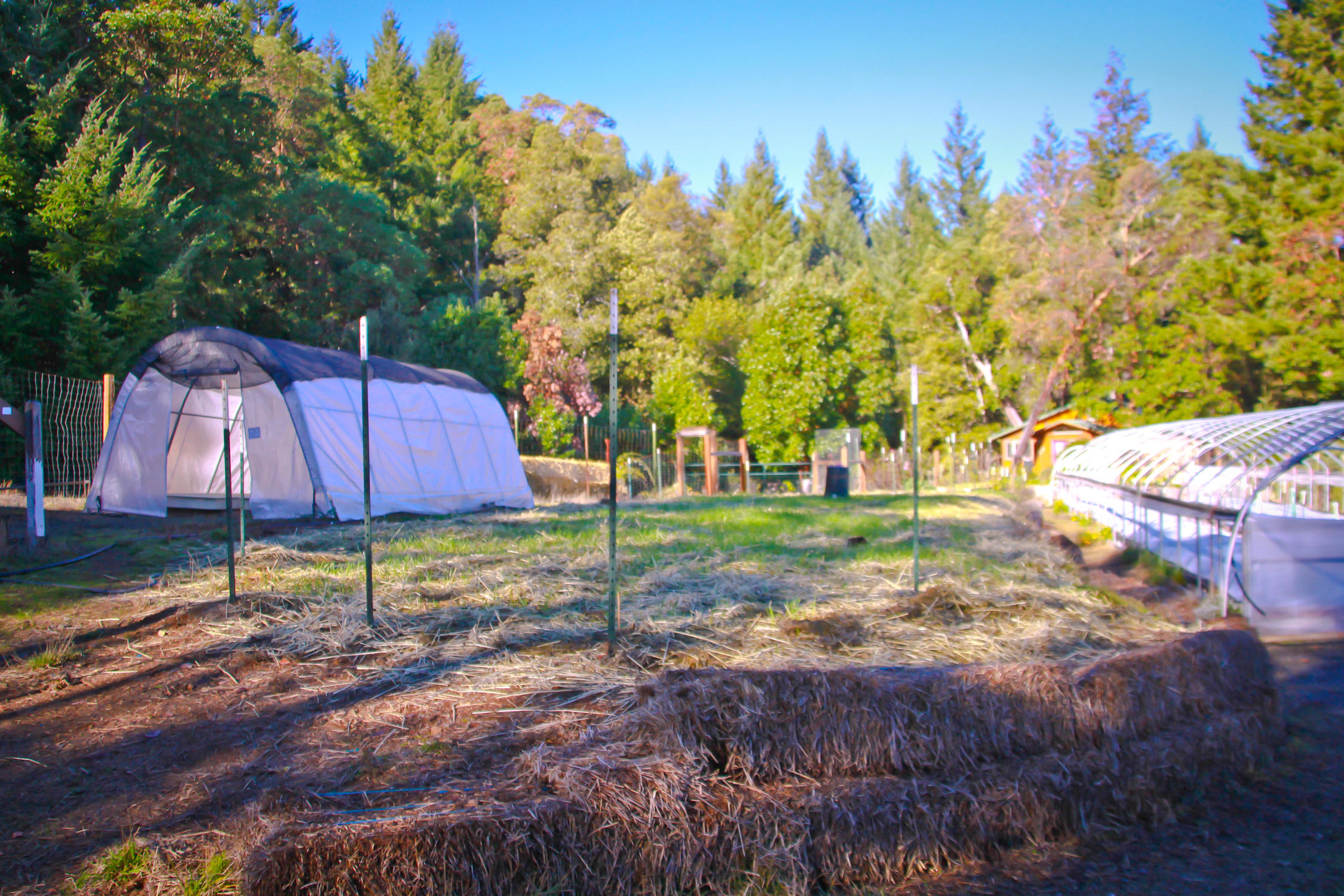 3900 Red Rock Road Benbow, CA 95542 - Photo 90 of 102 RRF-70