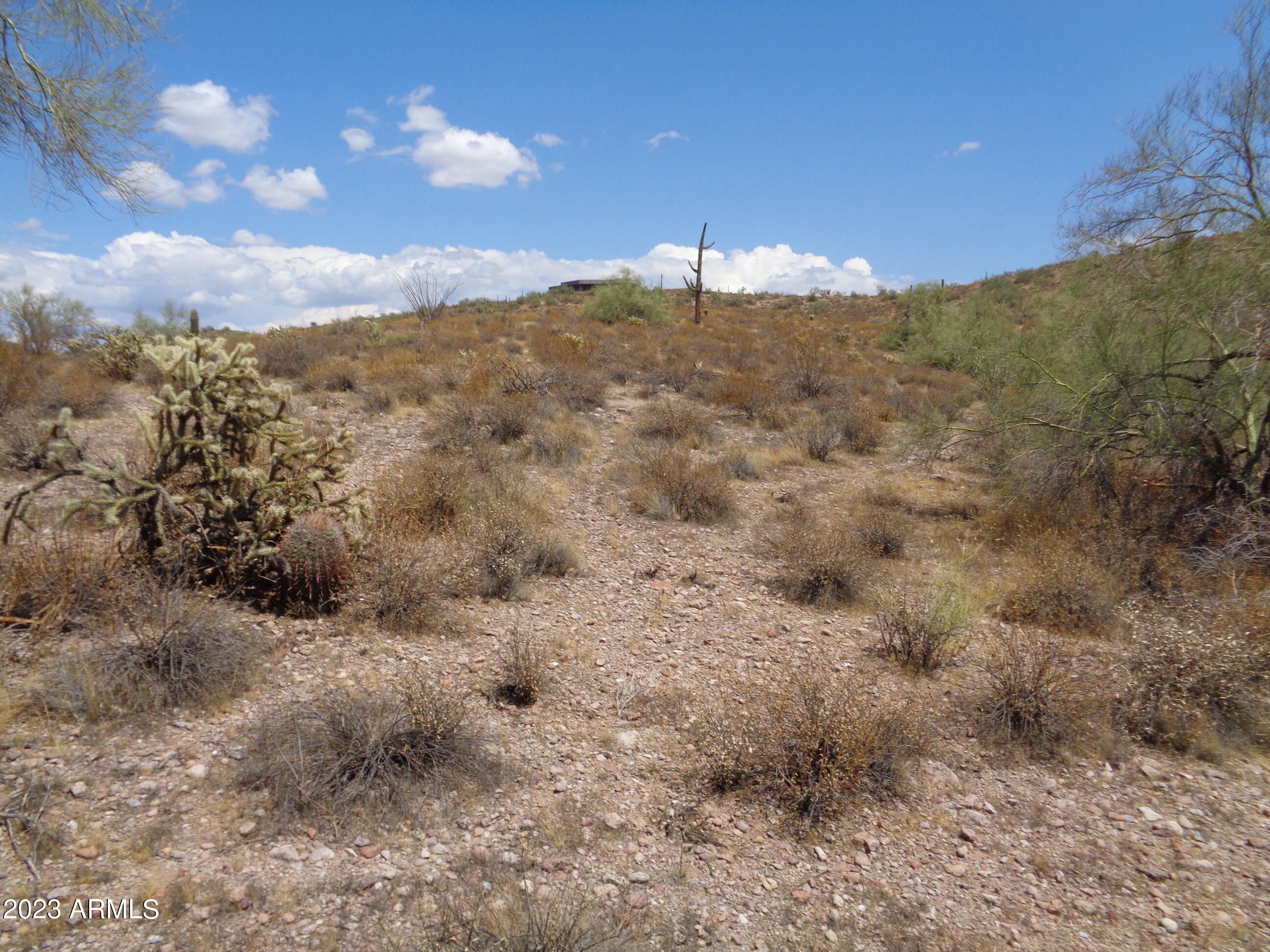 14 North Sandy Blf Road, Unit 14C Fort McDowell, AZ 85264 - Photo 5 of 19 Landscape (1)