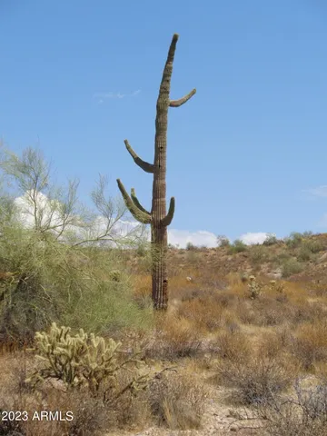 $450,000 | 14 North Sandy Blf Road, Unit 14C, Fort McDowell, AZ 85264